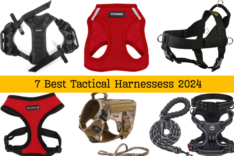 8 Best Tactical Harnesses For Dogs 2024