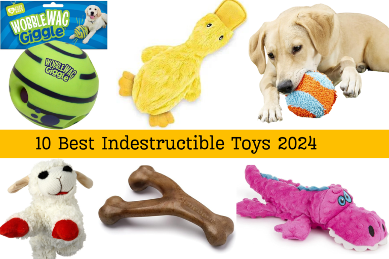 10 Indestructible Pet Toys 2024