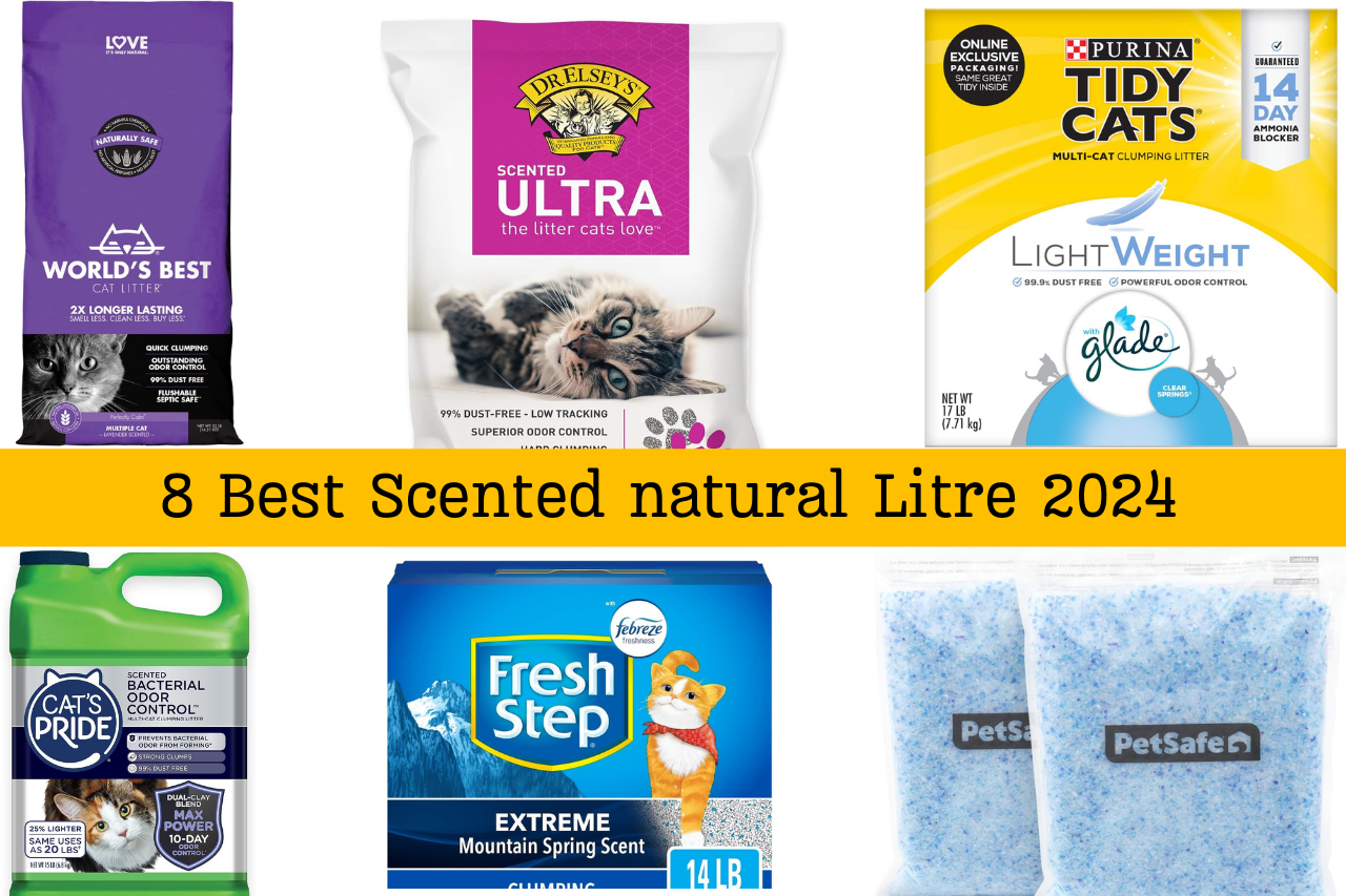8 Best Scented Natural Cat Litter 2024