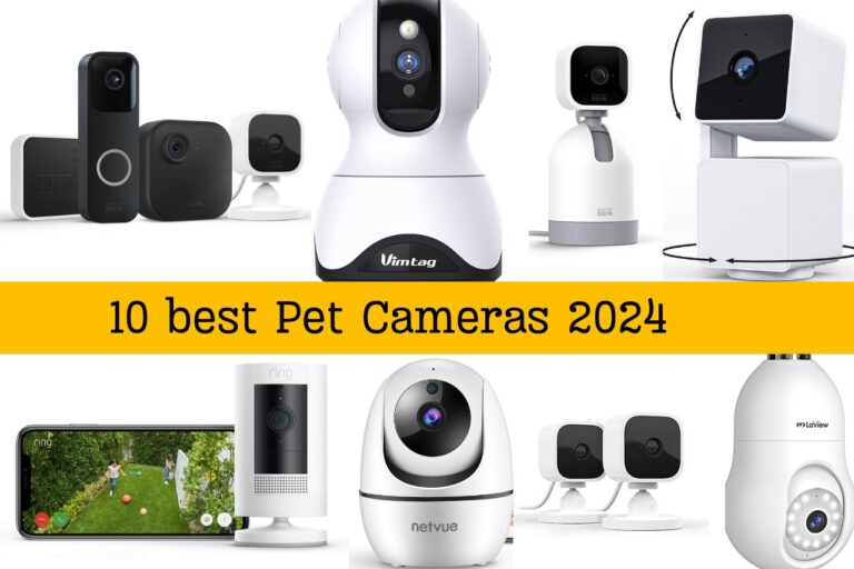 10 Best pet cameras 2024