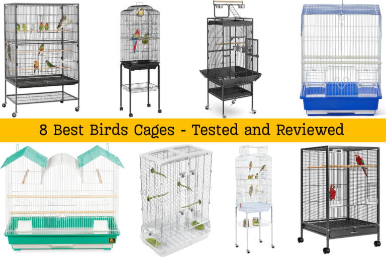 Top 8 Bird Cages for 2024 – Tested and Reviewed