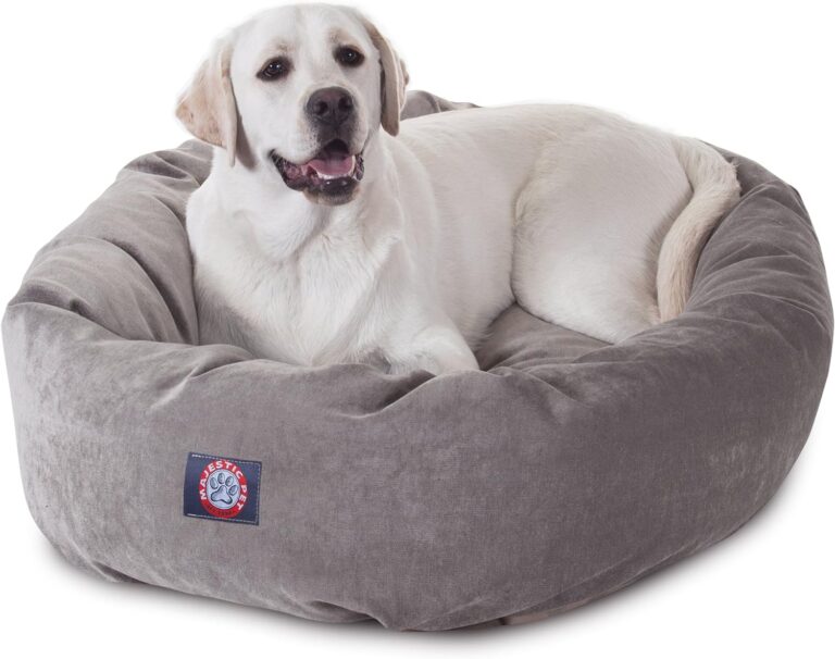 7 Best Large Round Dog Beds 2024