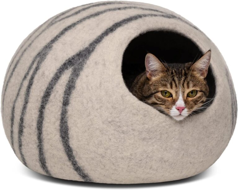 9 Best Cat Beds 2024 – According to our Expert Opinions