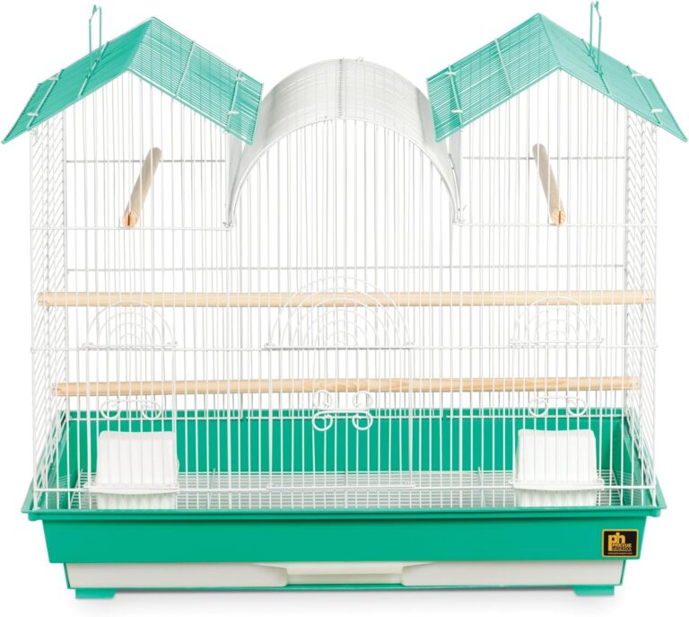 Best Bird Cages for 2024 – Top 8 Tested & Reviewed