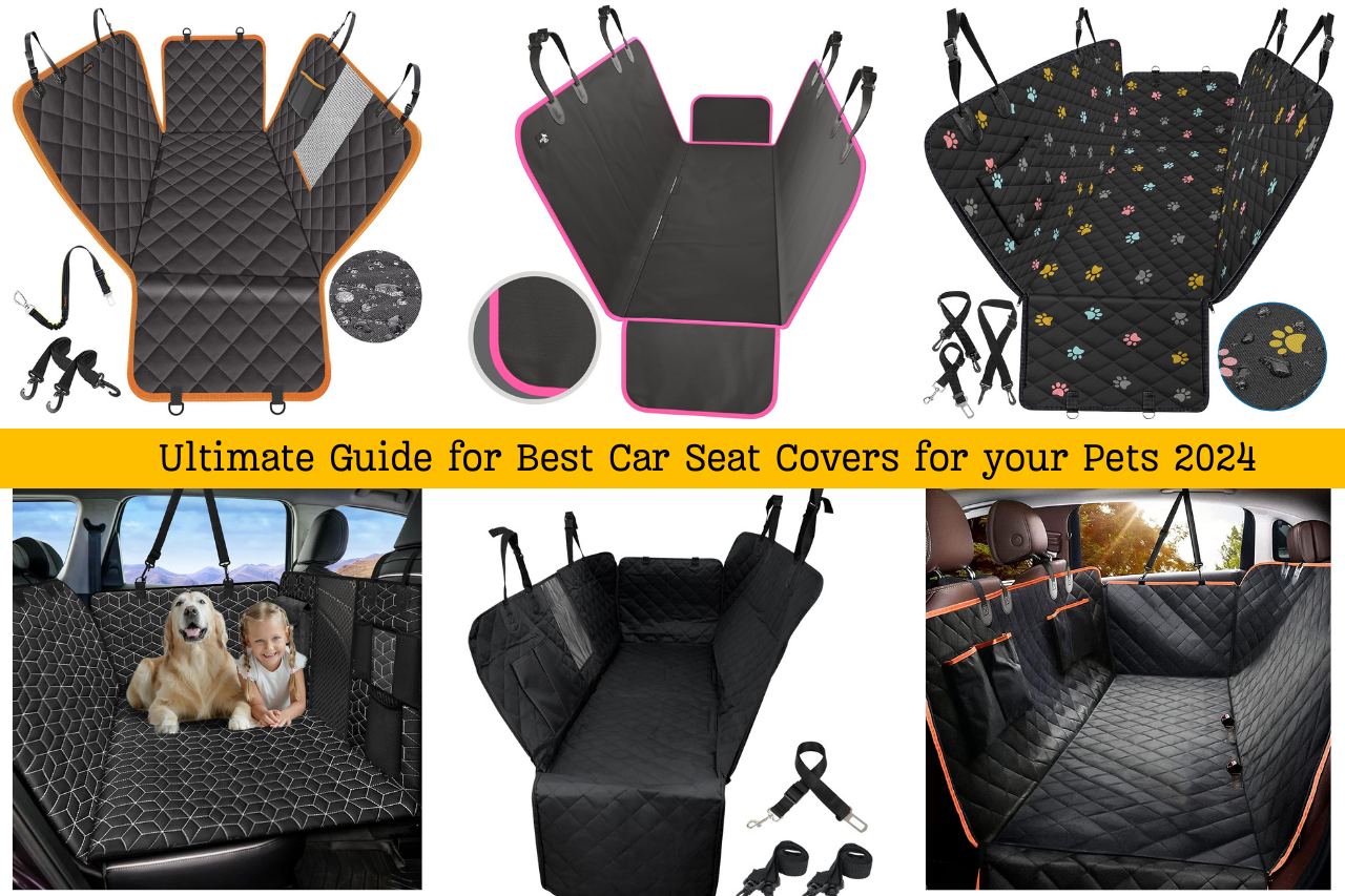 Ultimate Guide to Best Car Seat Covers for Pets 2024