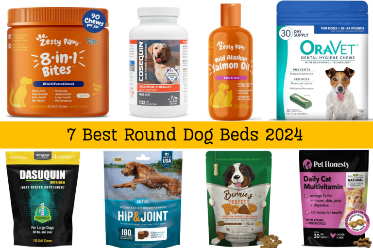 8 Best Nutrient Supplements for Dogs 2024