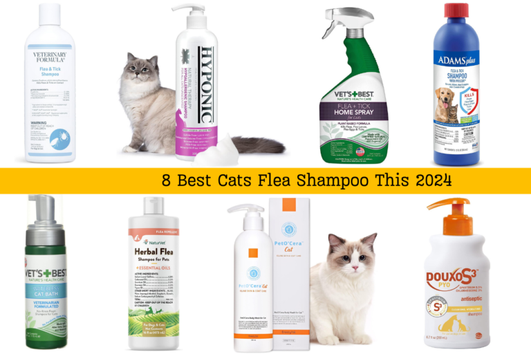 The 8 Best Flea Cat Shampoo: Say Goodbye to Pesky Cats