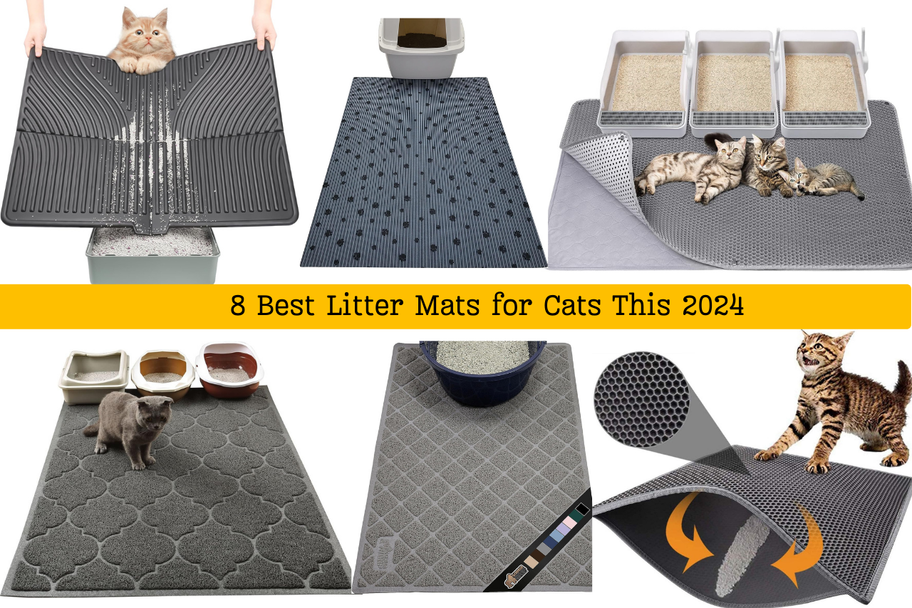 The 8 Best Cat Litter Mats 2024
