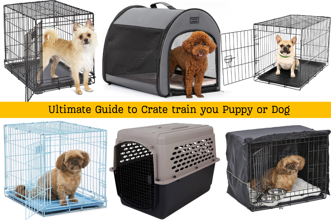 The Ultimate Guide to Crate Training Puppies 2024